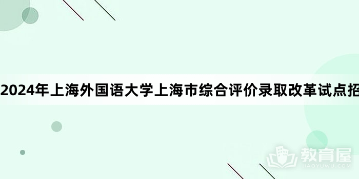 2024年上海外国语大学上海市综合评价录取改革试点招生简章