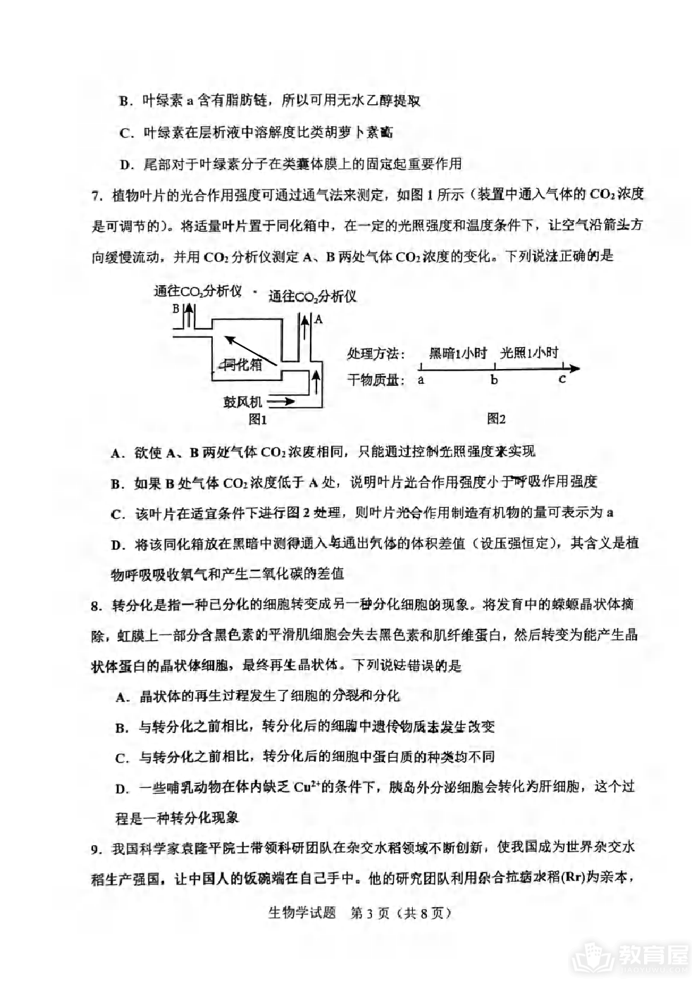 重庆市渝中区2023-2024学年高三上学期期中考试生物试题