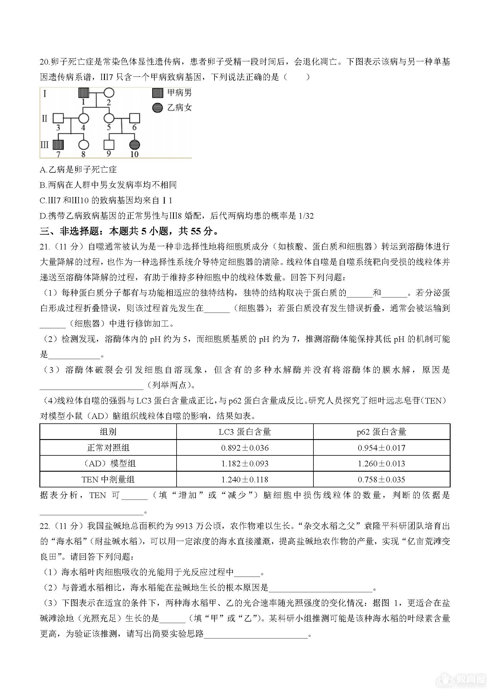 潍坊市24届高三上学期10月过程性检查生物试题及答案