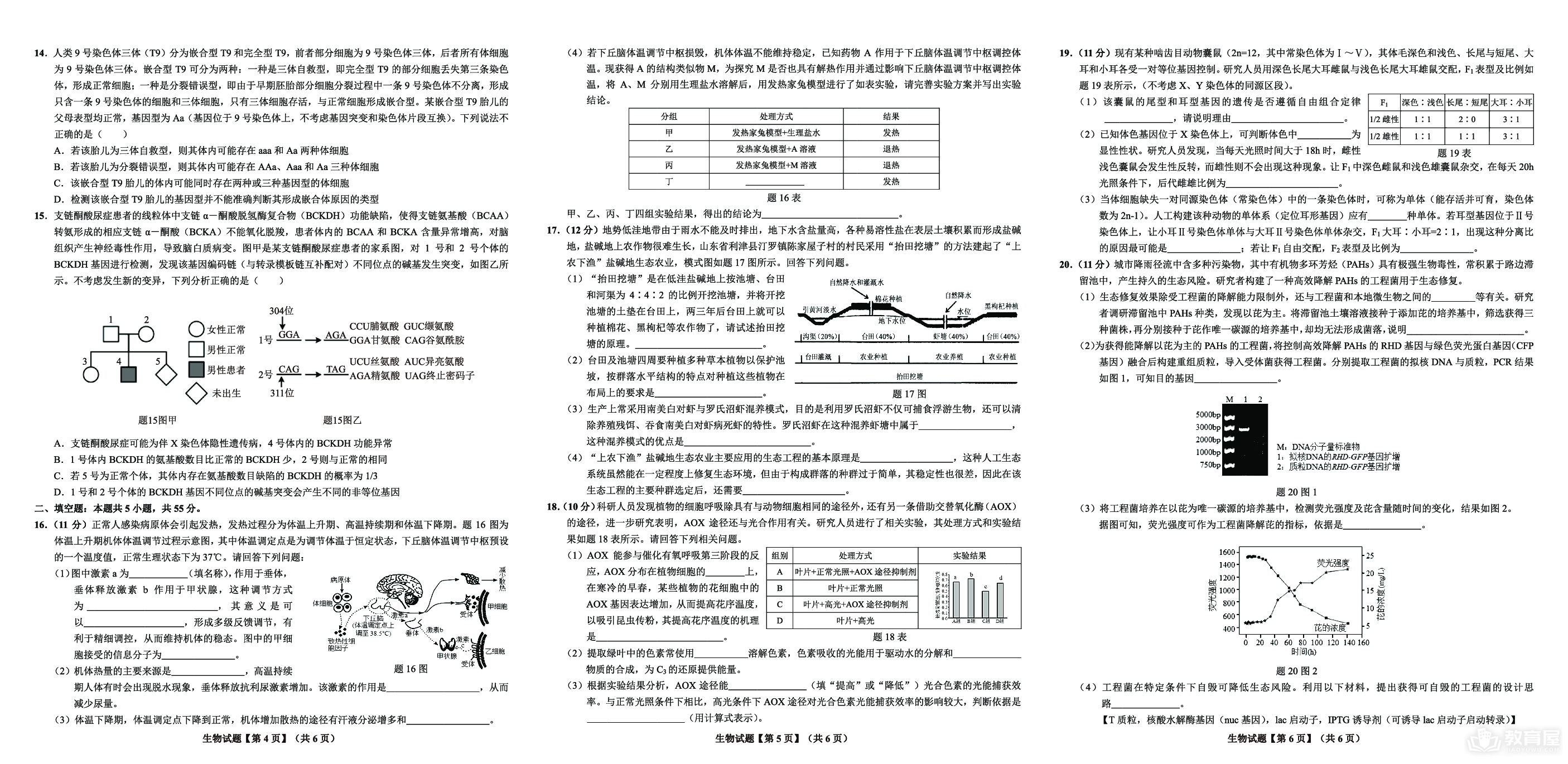 重庆市大足中学2023-2024学年高三下学期3月适应性考试生物
