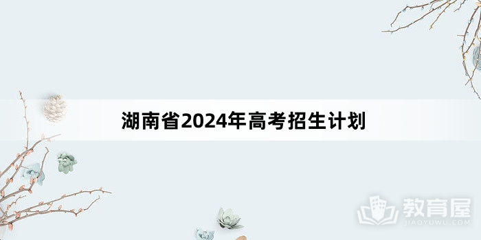 湖南省2024年高考招生计划