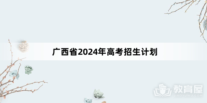 广西省2024年高考招生计划