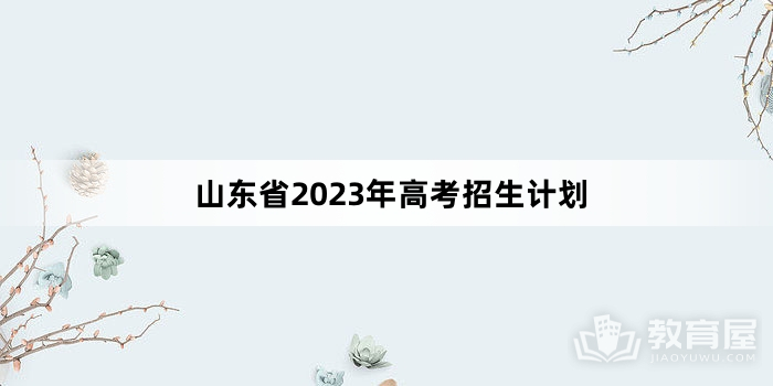 山东省2023年高考招生计划