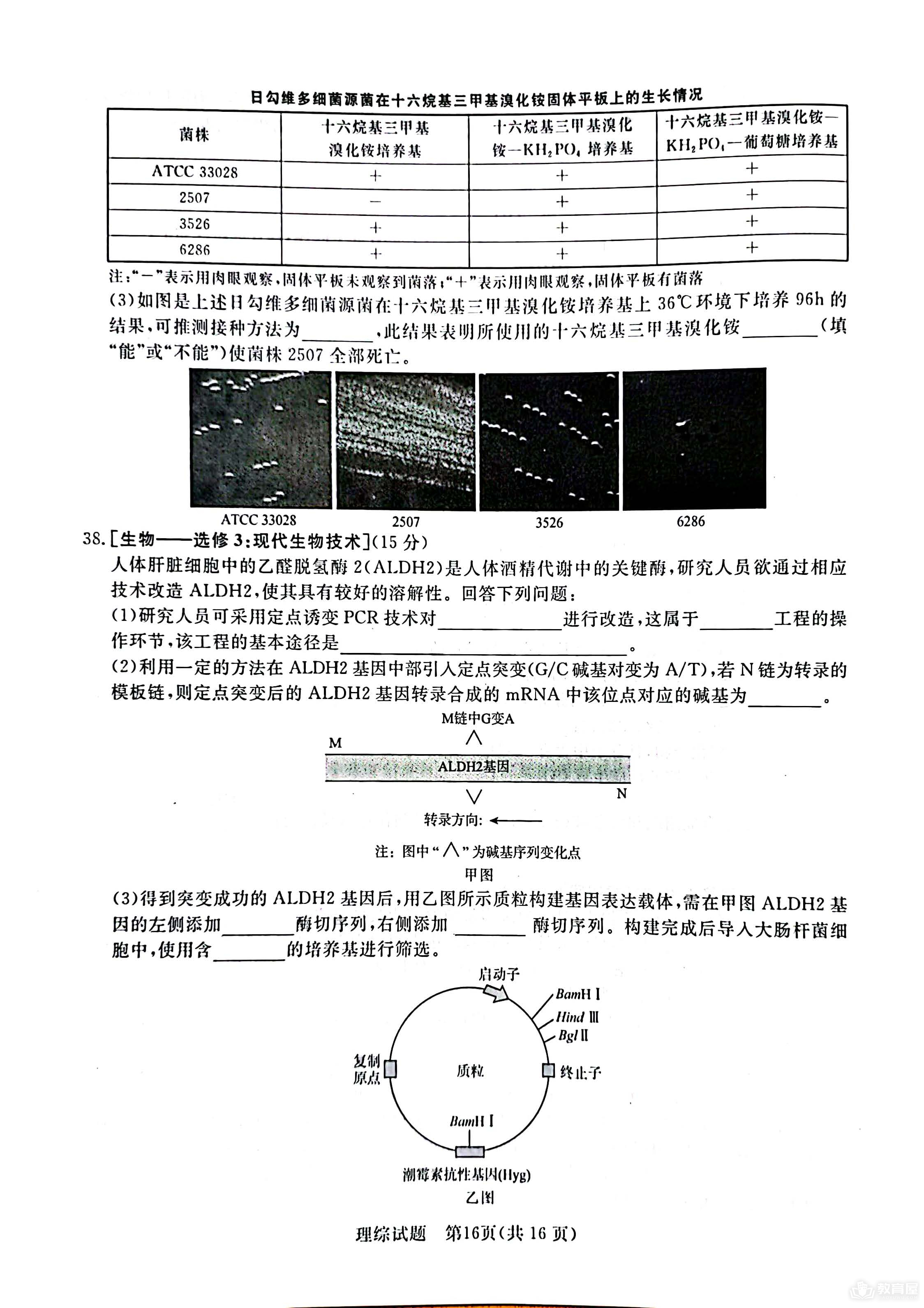 河南省青桐鸣大联考高三5月考试理综试题及答案（2023）
