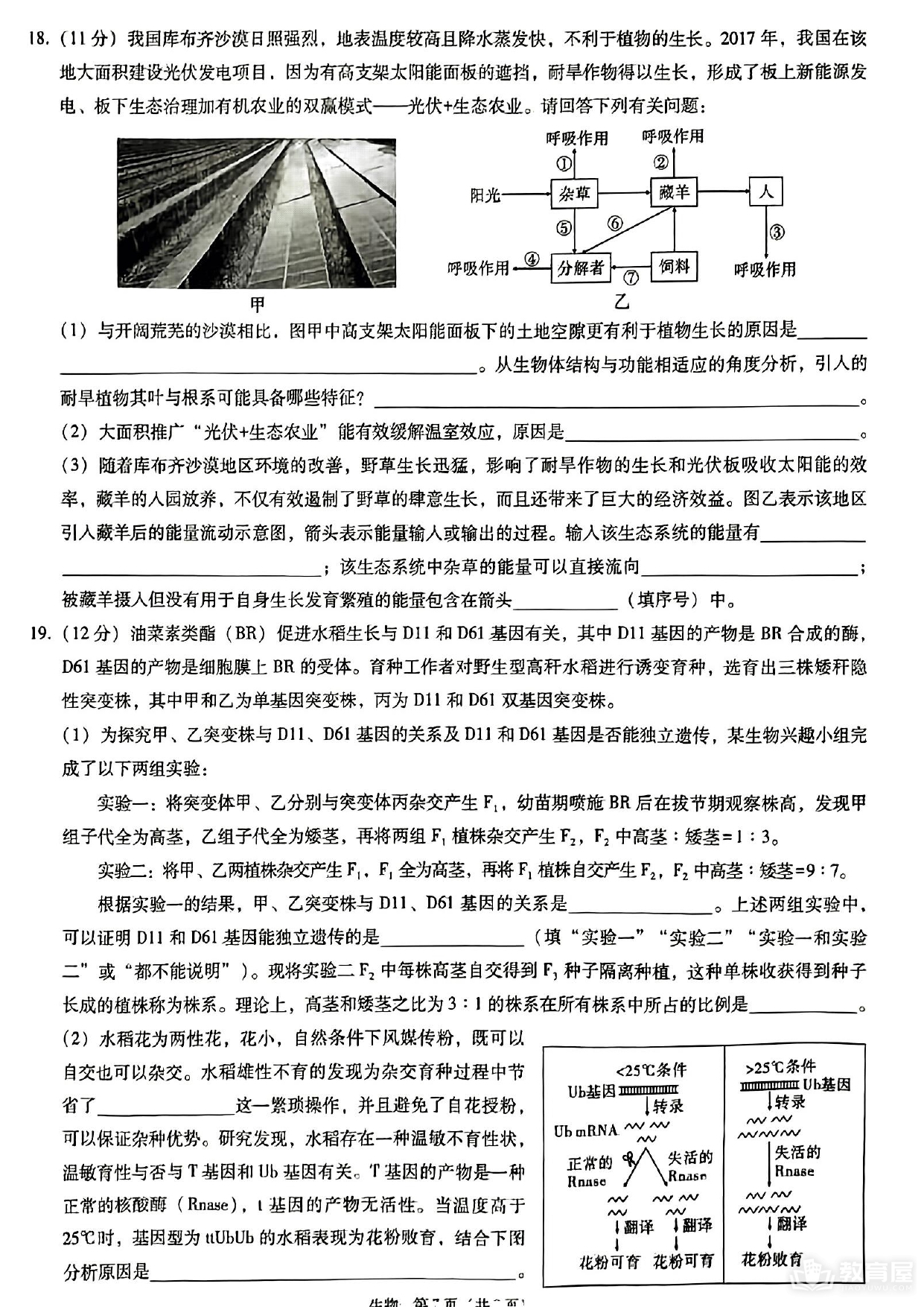 重庆一中高三5月月考生物试题及参考答案（2023）