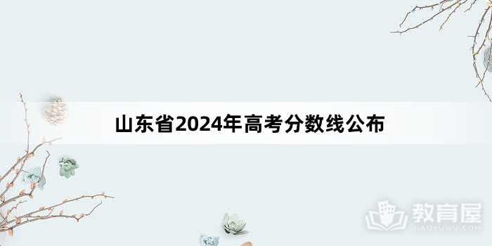 山东省2024年高考分数线公布