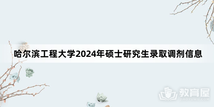 哈尔滨工程大学2024年硕士研究生录取调剂信息