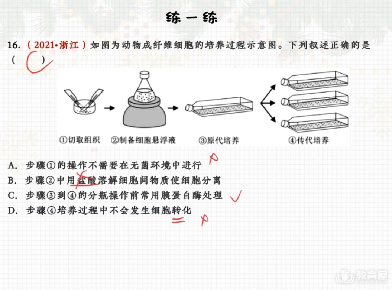 动物细胞培养过程及条件知识点解析