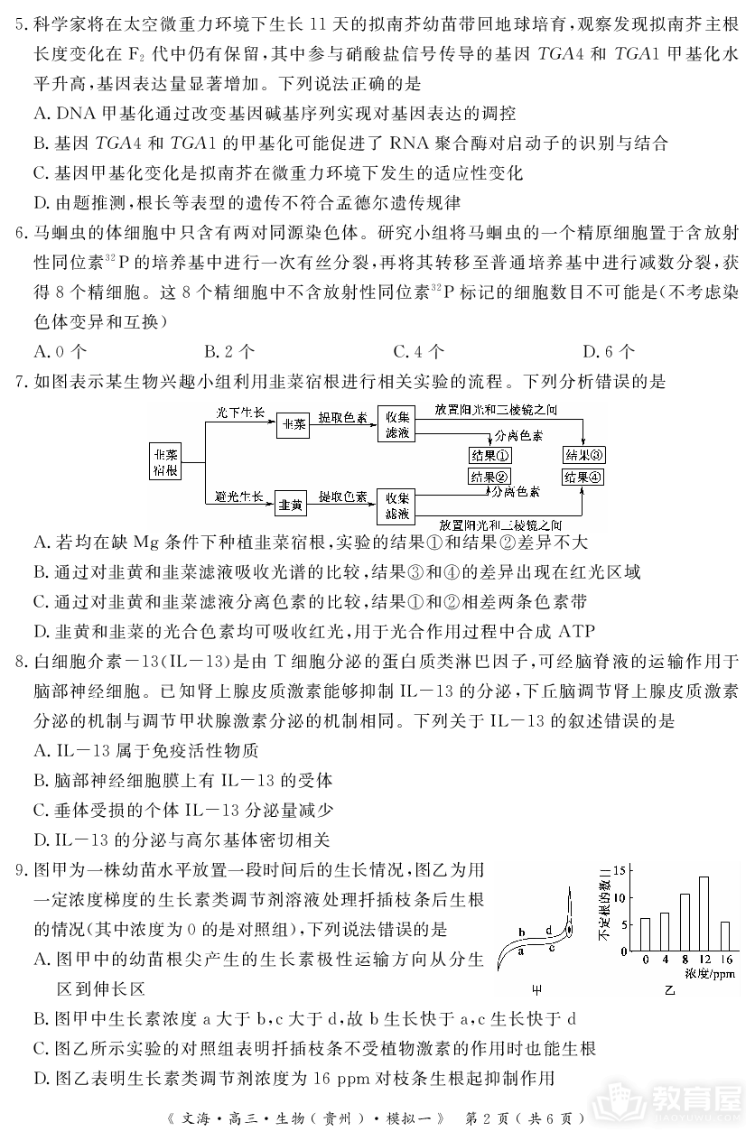 湖北省黄冈市2024届高三模拟测试卷（一）（黄冈八模）生物